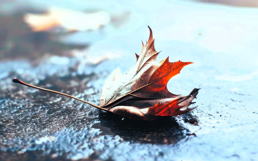 1755486 (a): :1920x1200